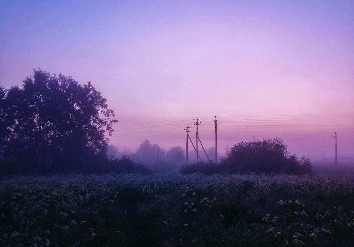 LPL赛事整活:先别管赢不赢,就说来没来吧
